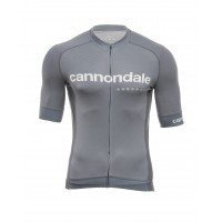 Джерсі Cannondale кор. рукав, чоловіче, сіре, S