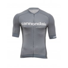 Джерсі Cannondale кор. рукав, чоловіче, сіре, S